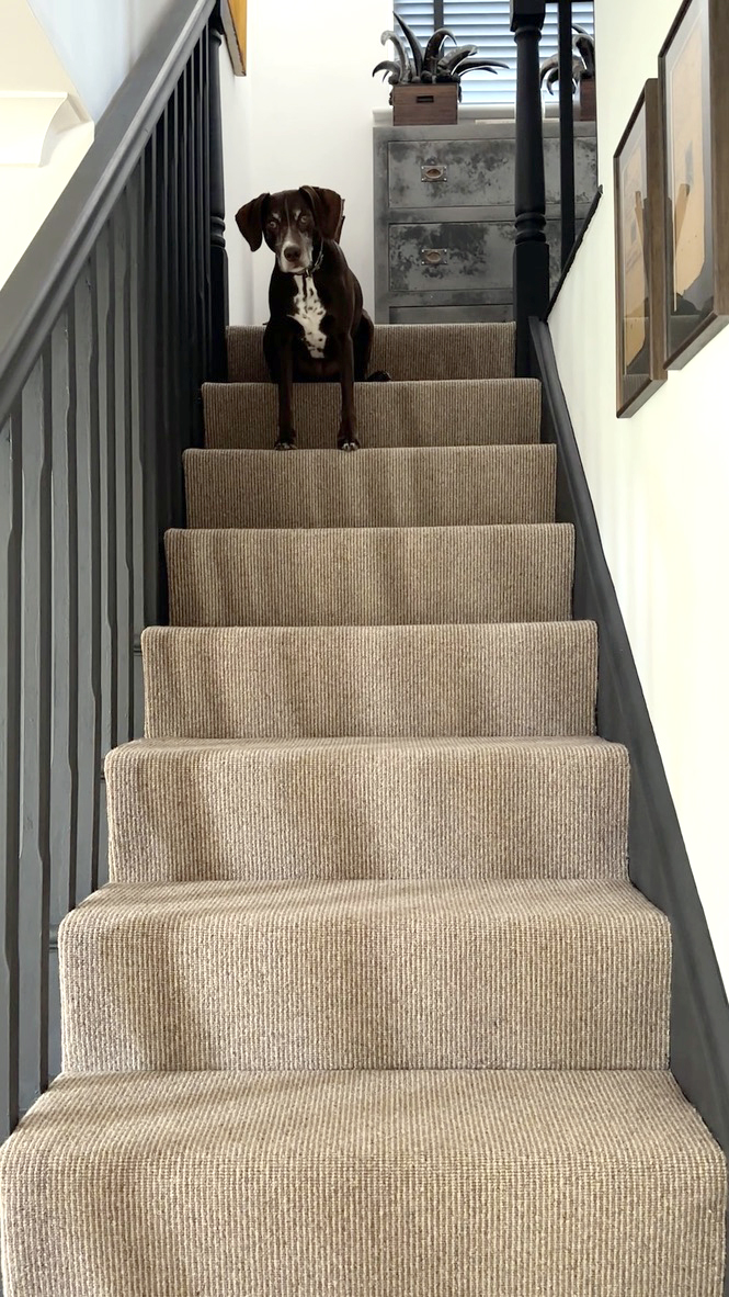 beige and brown striped stair carpet